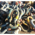 Bow Shackle